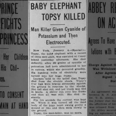 Baby Elephant Topsy Killed